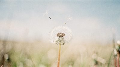 Молодая женщина у залитого солнцем окна летним утром, спокойный момент размышления о планах на лето