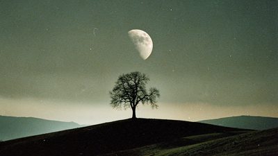 Убывающая половинная луна в ясном ночном небе над тёмными силуэтами холмов